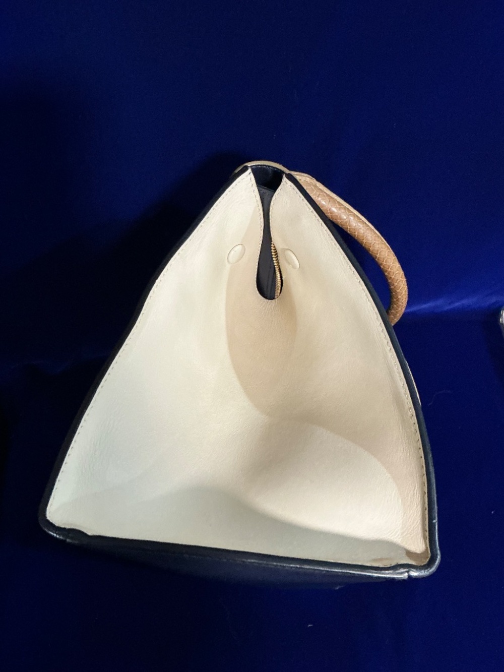 Celine Trapeze Medium Python Multi-Colored Shoulder Bag - Picture 7 of 14